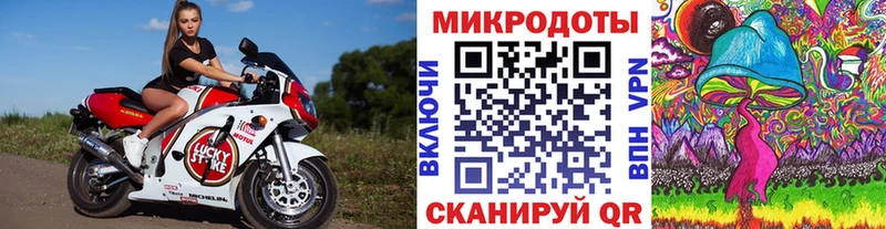 Галлюциногенные грибы Psilocybine cubensis  Вольск 